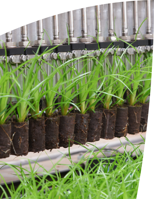 Planten